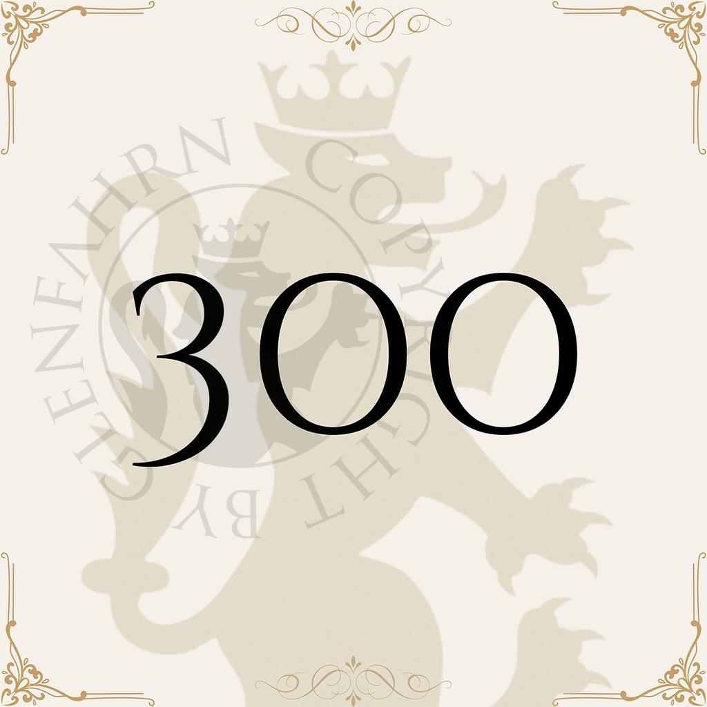 Giftcard € 300.-